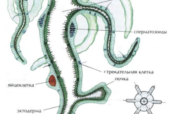 Кракен 17 рабочая ссылка