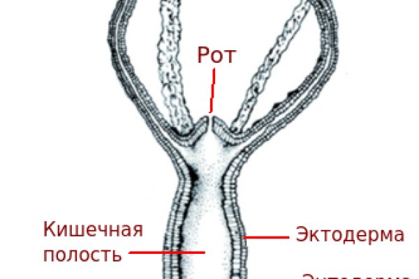 Kraken пользователь не найден при входе