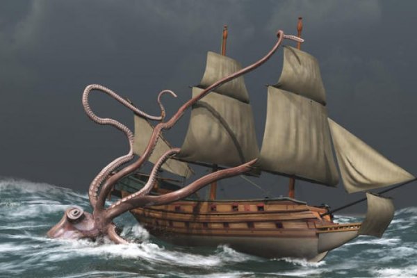 Kraken onion