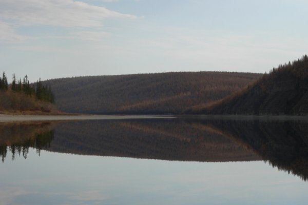 Кракен дарк шоп